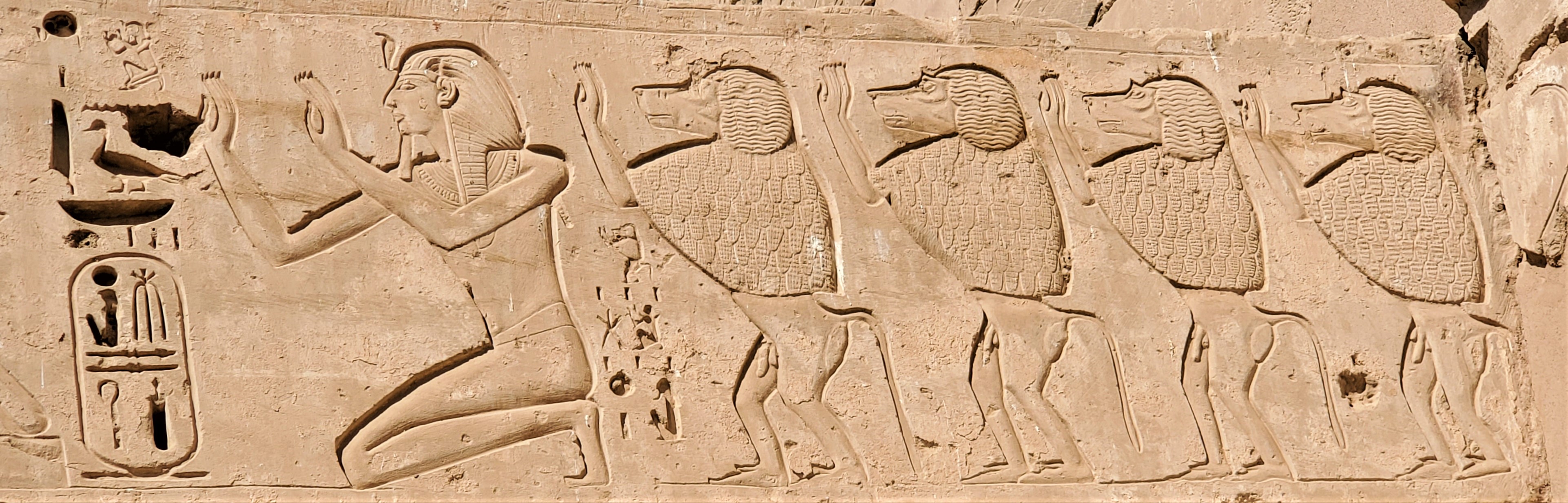 wall carving of baboons